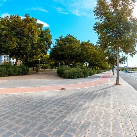 Arena En Playa De San Juan Alicante